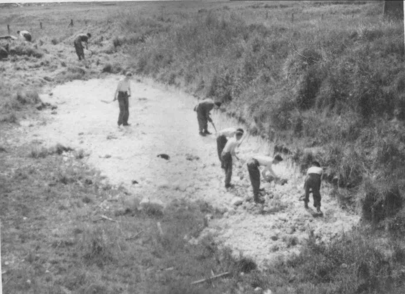HARD LABOUR TIDWORTH 1952